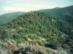 La cima di Monte Cotrozzi vista dal Moriglion di Penna.