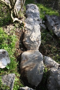 La pietra-stele ricoperta di fori e canaletti.